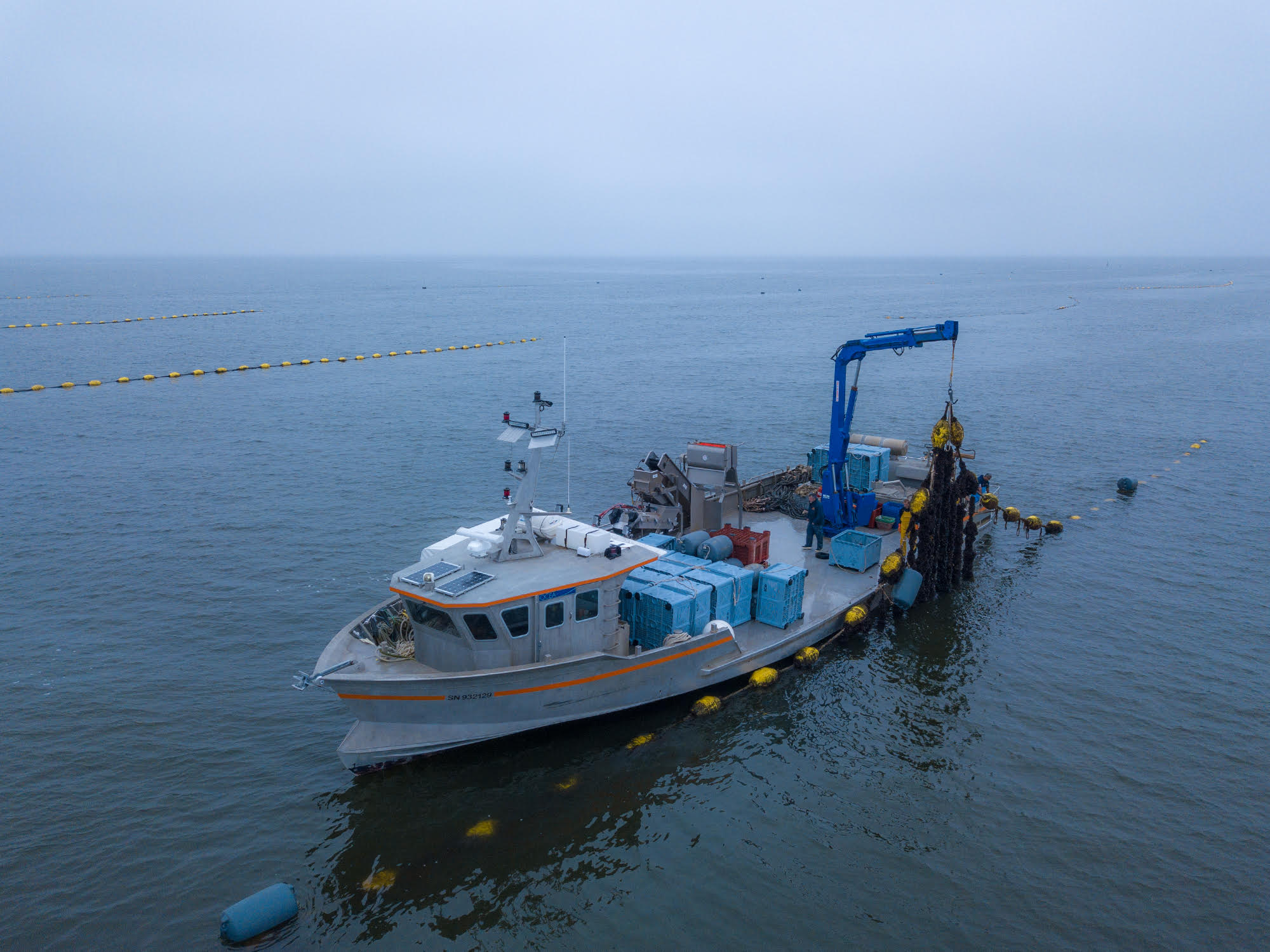 les Vignes Marines - En pleine mer - 3