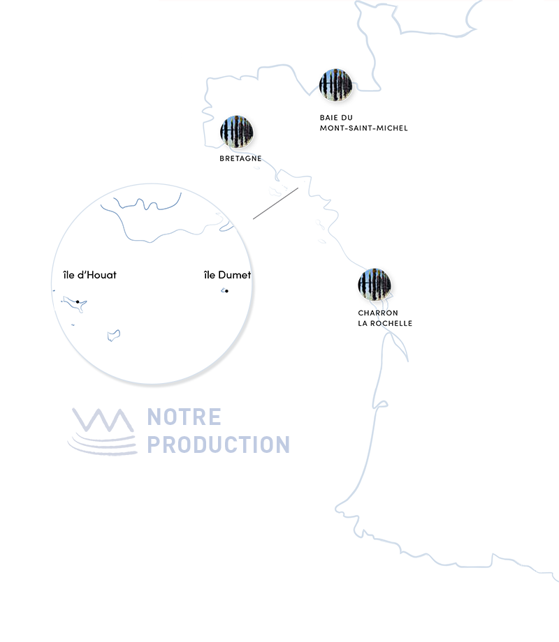 Carte de production avec Logo